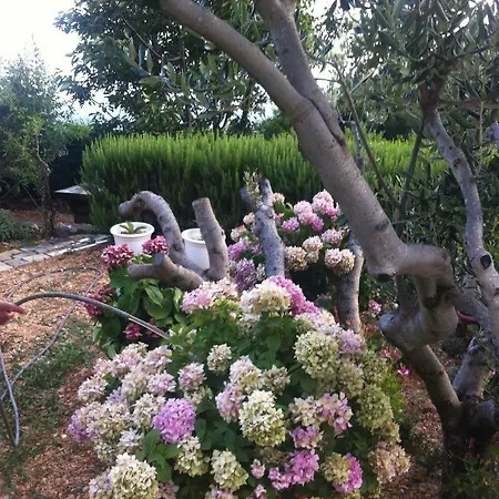 Stulic Apartmán Makarská