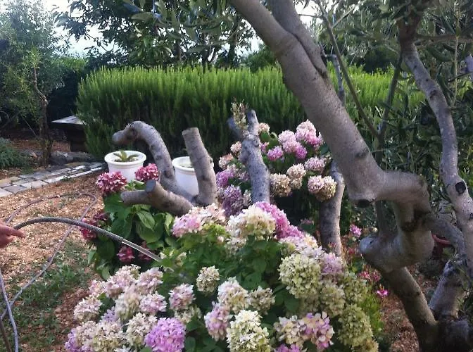 Stulic Apartmán Makarská