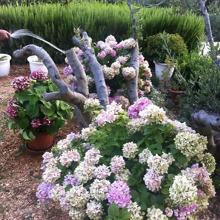 Appartement Stulic *